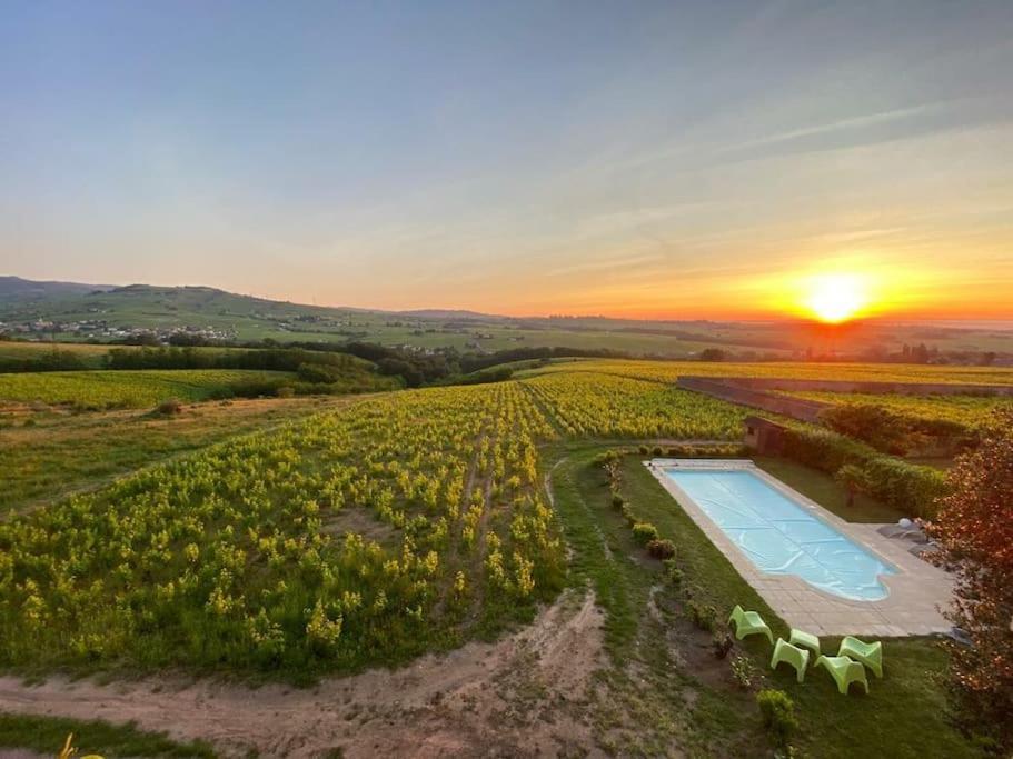 Au Coeur Des Vignes Moulin A Vent Appartement La Chapelle-de-Guinchay Buitenkant foto